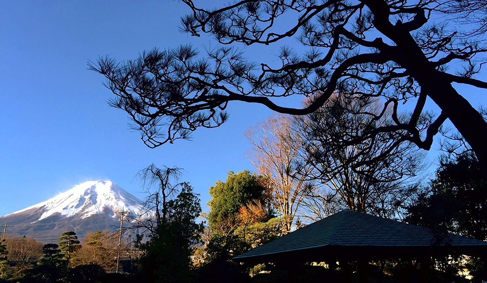 富士山下