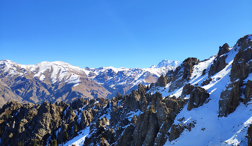 青山原不老，為雪白頭。